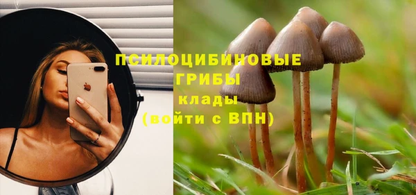 крисы Арсеньев