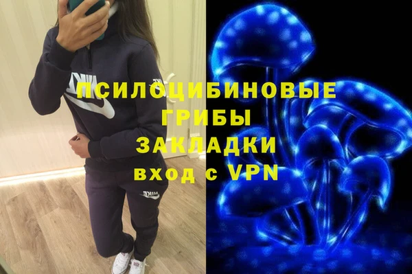 МДПВ Алексеевка