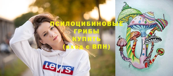 прущий лед Аркадак