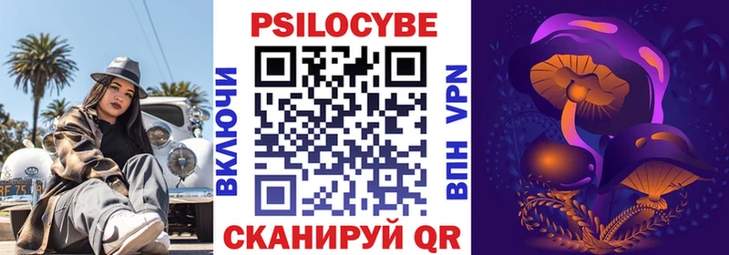 закладка Шебекино Галлюциногенные грибы GOLDEN TEACHER