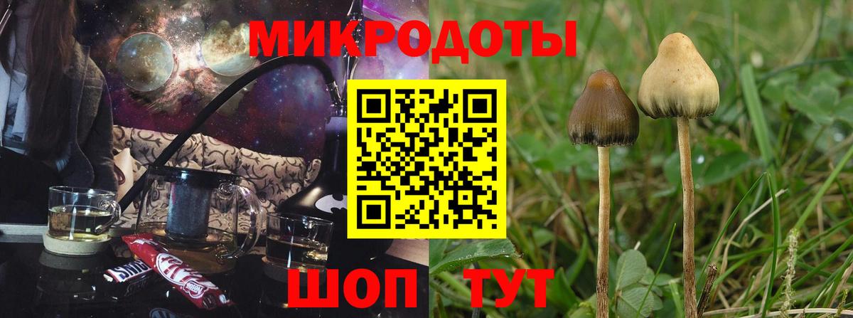 Шебекино  Псилоцибиновые грибы Cubensis  где купить   Вход с VPN 